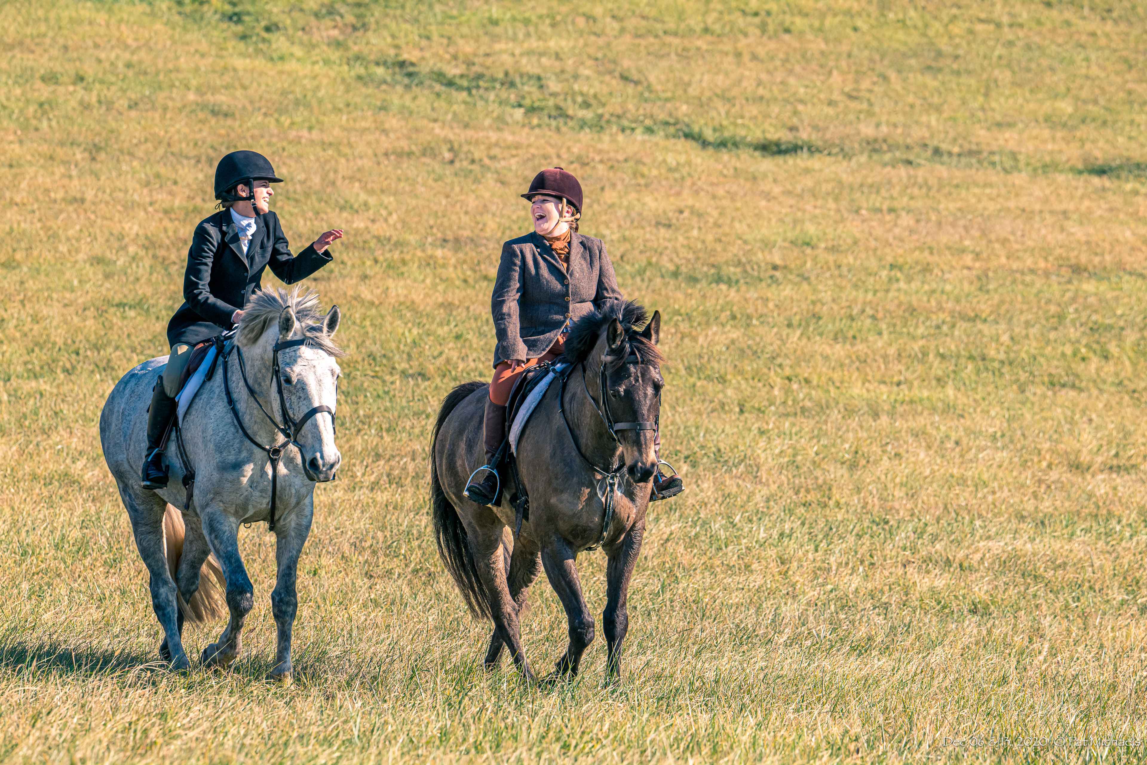 Two riders in a field