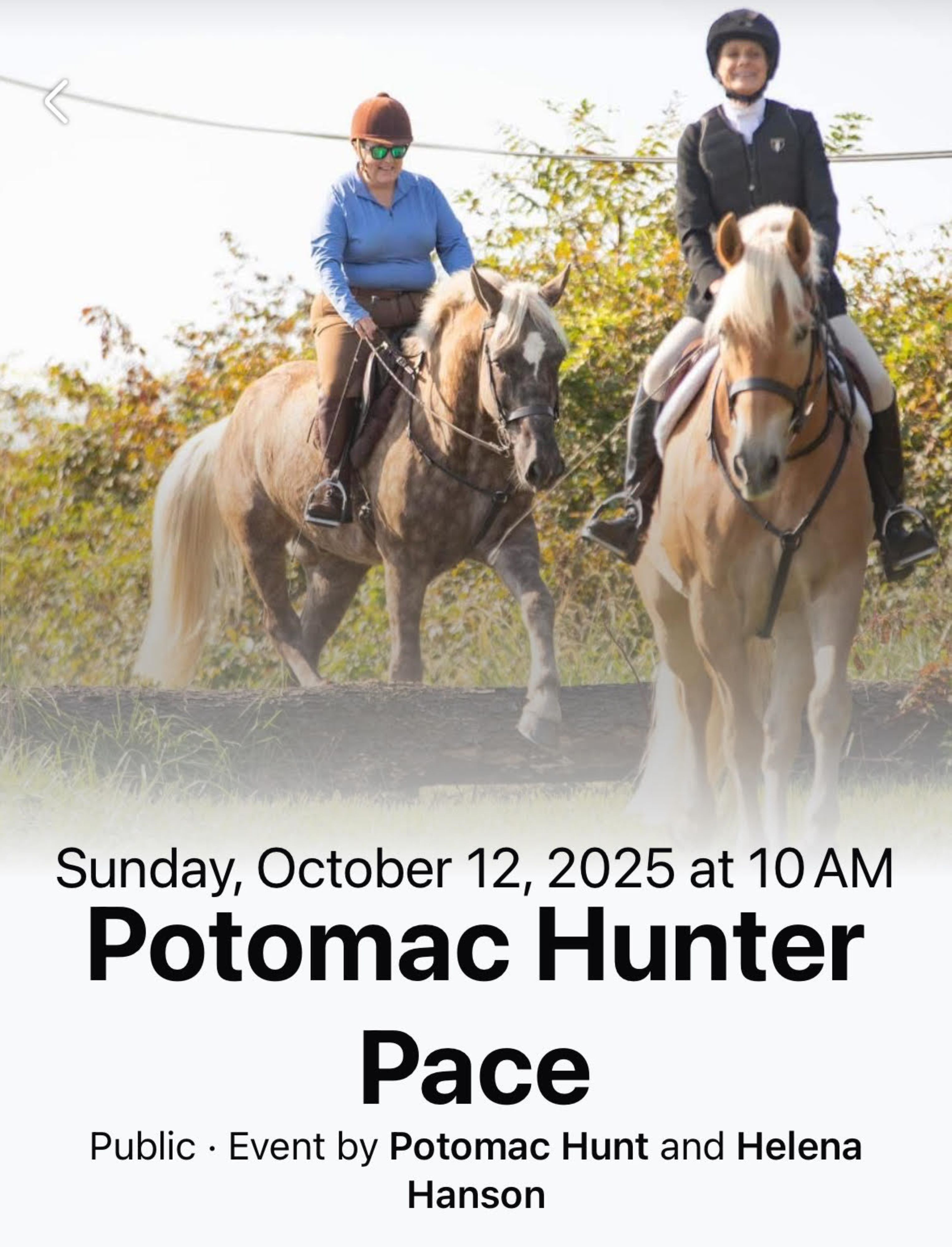 POTOMAC HUNT